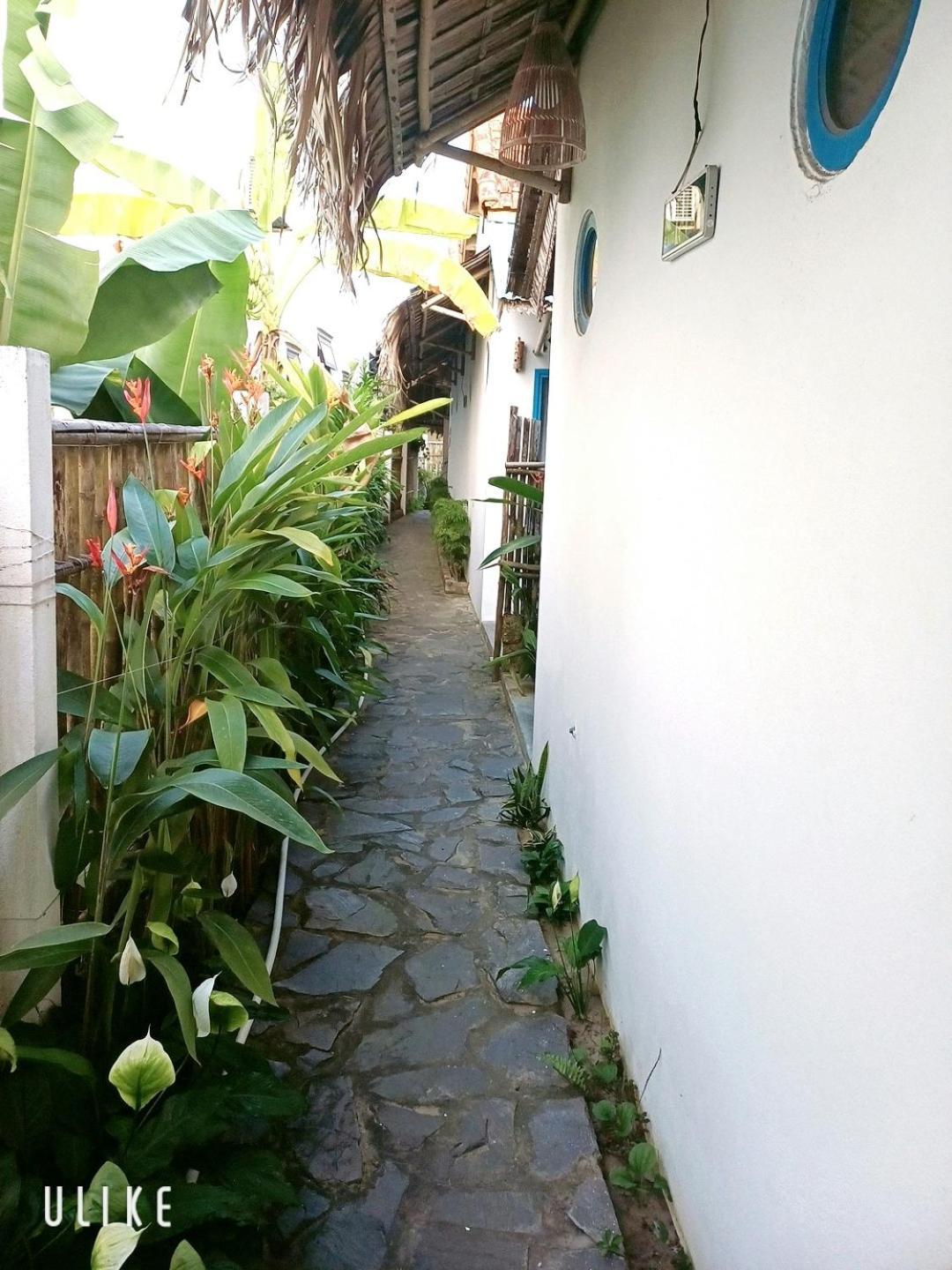 Cashew Tree Bungalow Hoi An Exteriér fotografie