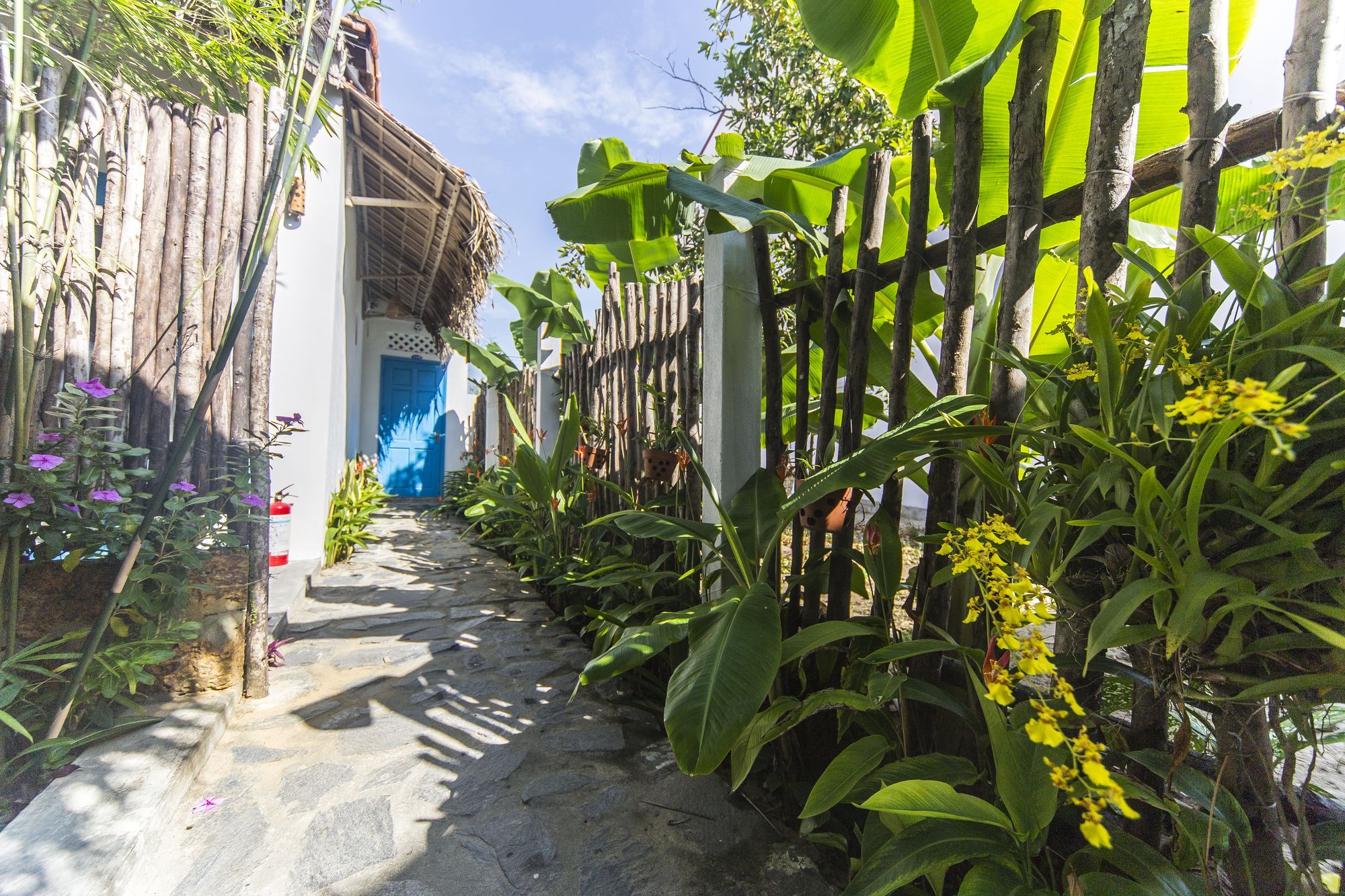 Cashew Tree Bungalow Hoi An Exteriér fotografie