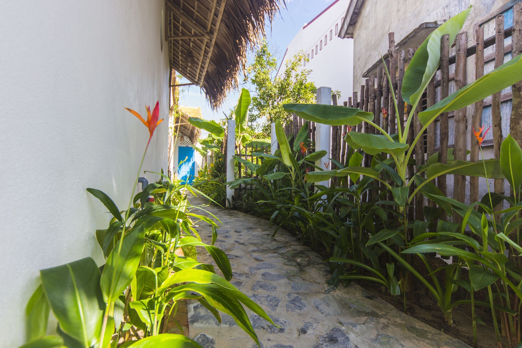 Cashew Tree Bungalow Hoi An Exteriér fotografie